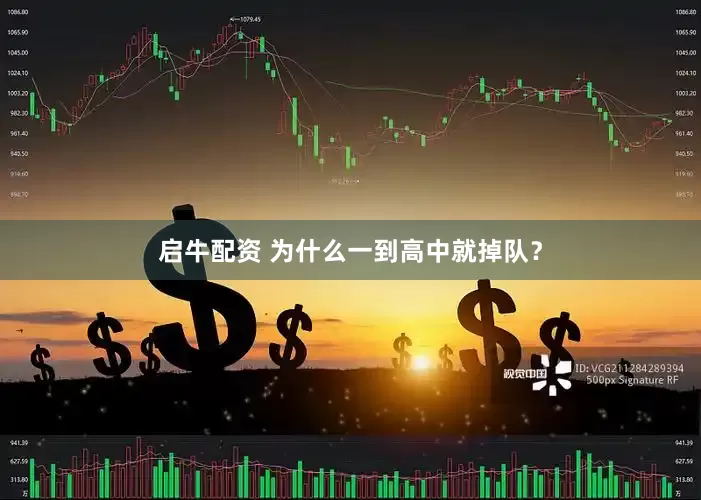 启牛配资 为什么一到高中就掉队？