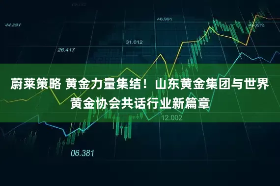 蔚莱策略 黄金力量集结！山东黄金集团与世界黄金协会共话行业新篇章