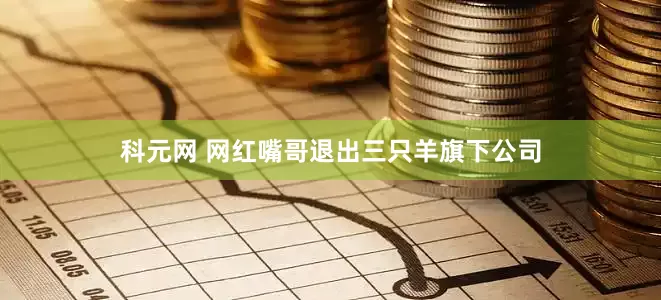 科元网 网红嘴哥退出三只羊旗下公司