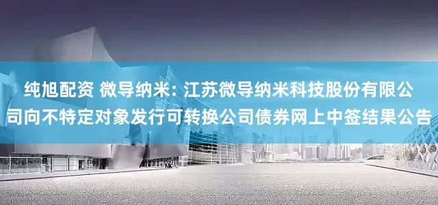 纯旭配资 微导纳米: 江苏微导纳米科技股份有限公司向不特定对象发行可转换公司债券网上中签结果公告