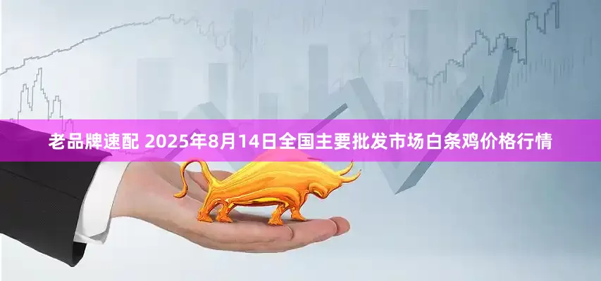 老品牌速配 2025年8月14日全国主要批发市场白条鸡价格行情