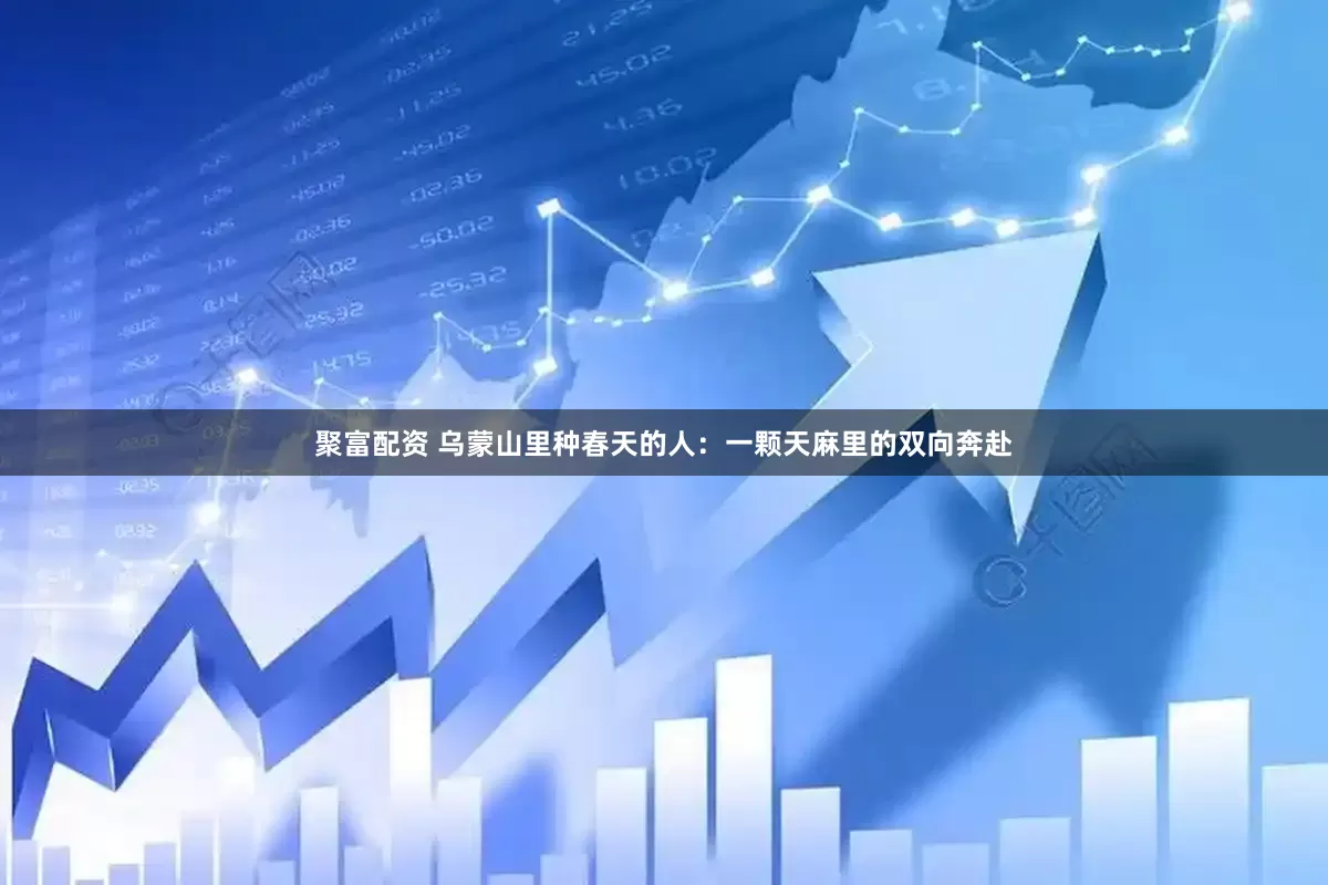 聚富配资 乌蒙山里种春天的人：一颗天麻里的双向奔赴
